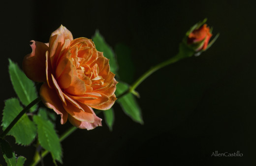 700707 (a): :2048x1324